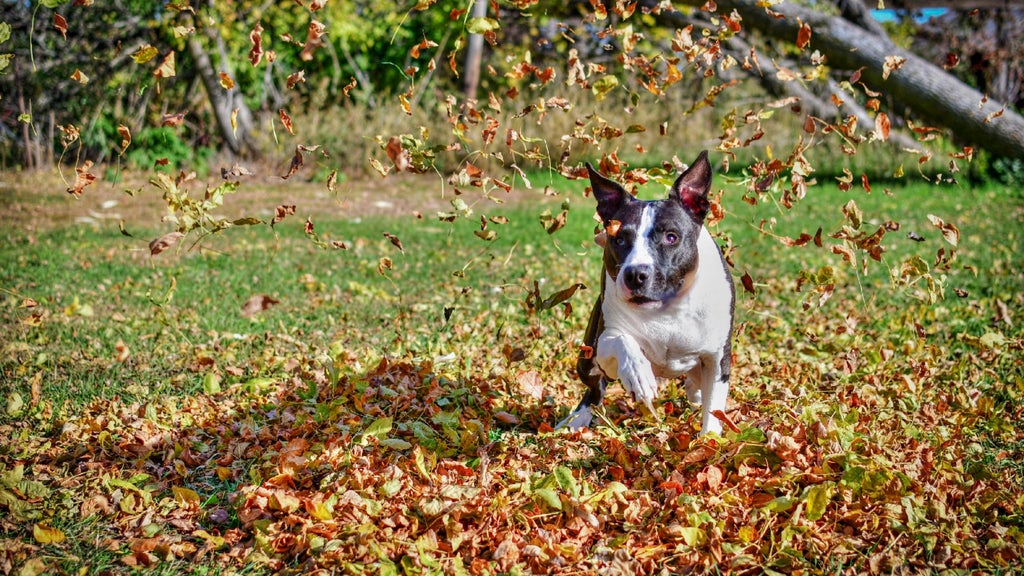 Windy and hot Sunday in Minnesota; rain possible Monday — WCCO / CBS Minnesota, Brooklyn Park Community news