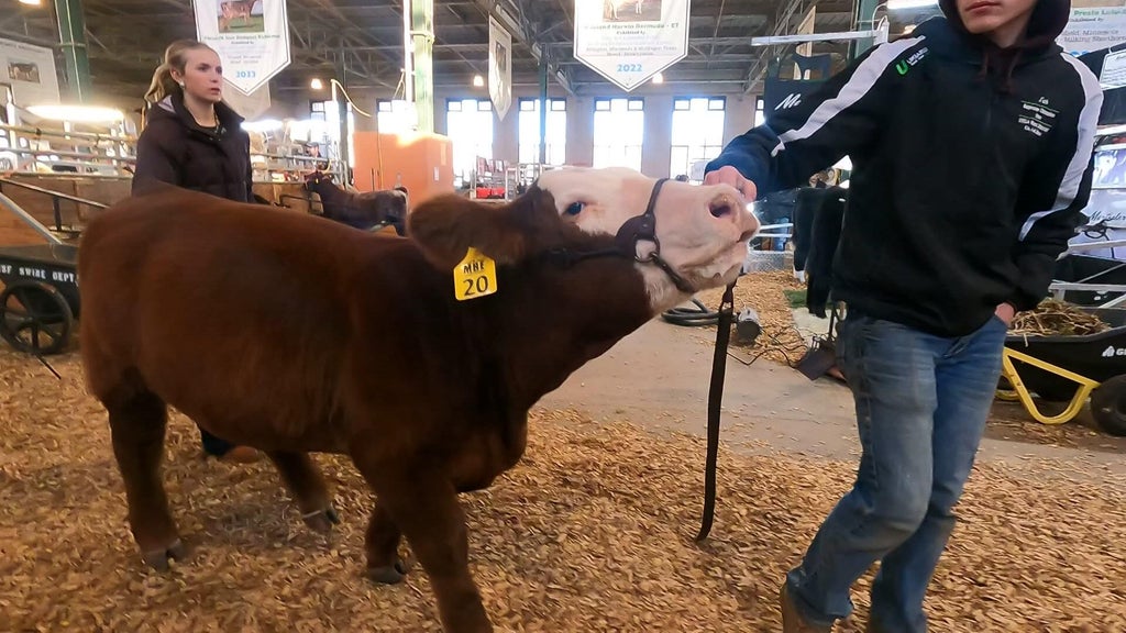 Spotlight on beef as Minnesota midterms near — WCCO / CBS Minnesota, Brooklyn Park Community news