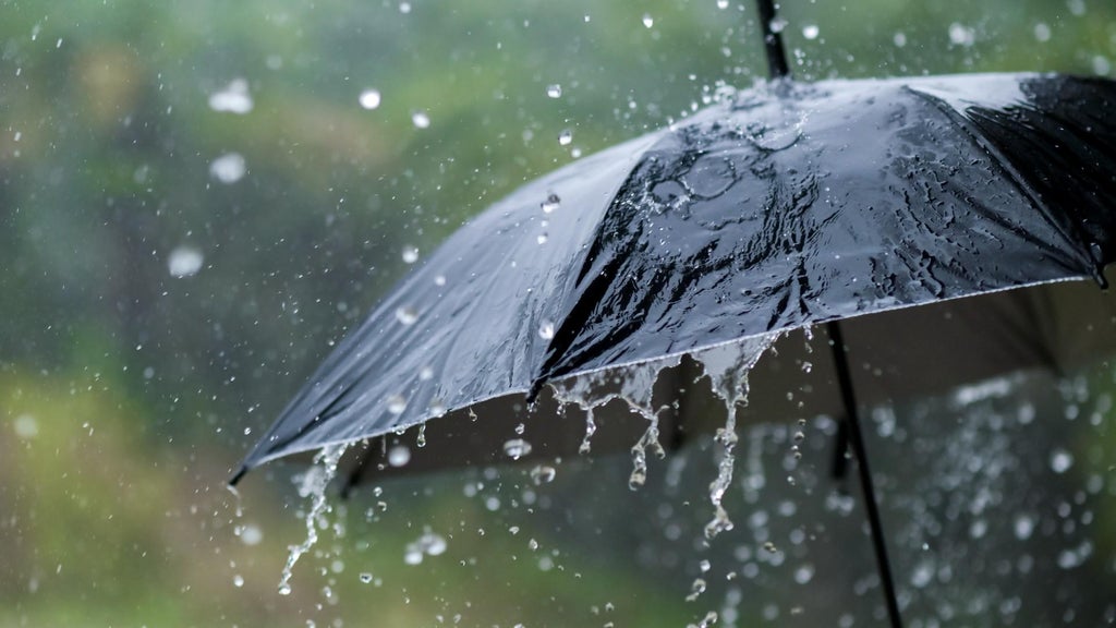 Widespread rain in Minnesota Monday; milder air returns Tuesday — WCCO / CBS Minnesota, Brooklyn Park Community news