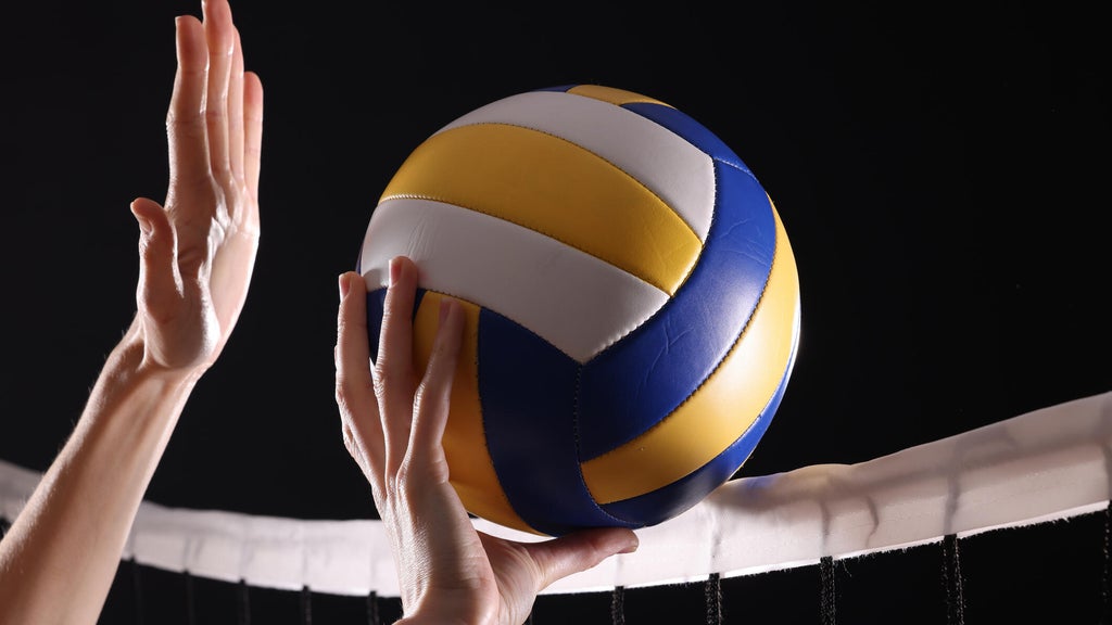 SeatGeek's first volleyball partner is the Minnesota Forge in a multiyear deal — WCCO / CBS Minnesota, Brooklyn Park Business news