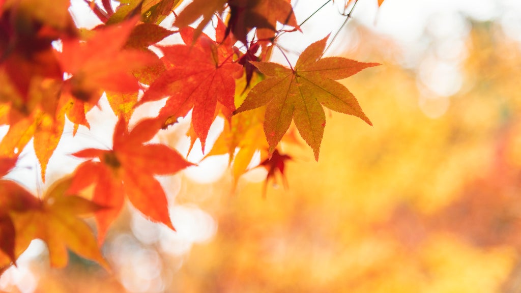 More sunny, mild late October weather in Minnesota Tuesday — WCCO / CBS Minnesota, Brooklyn Park Business news