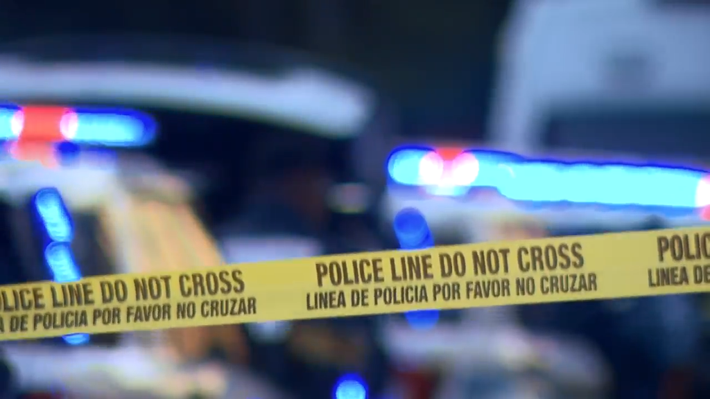 Man accused of stabbing, killing his own mother in Tamarac, BSO says — CBS Miami, Brooklyn Park Health news