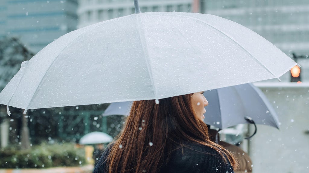 Soggy, chilly Thursday in the Twin Cities; season's first frost possible Saturday — WCCO / CBS Minnesota, Brooklyn Park Sports news