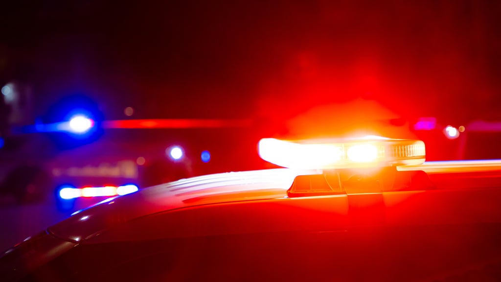 Driver killed in head-on collision with semi in central Minnesota — Brooklyn Park Community news