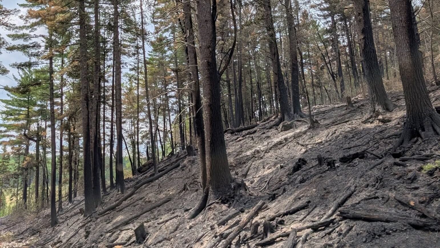 74-year-old who became separated from his family on a trail in Ely was discovered dead — KSTP 5, Brooklyn Park Community news