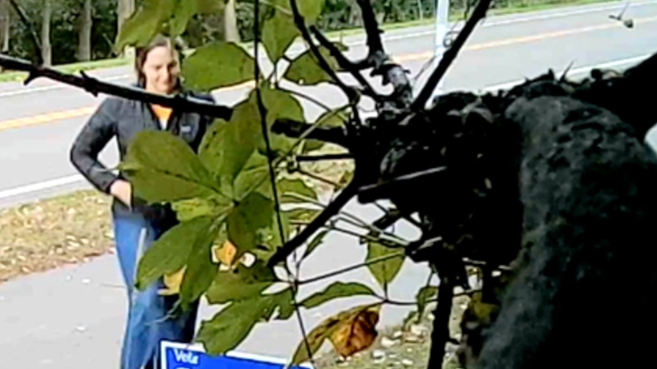 Video: Vadnais Heights council member removes mayoral candidate’s campaign sign, tosses it aside — KSTP 5, Brooklyn Park Real Estate news
