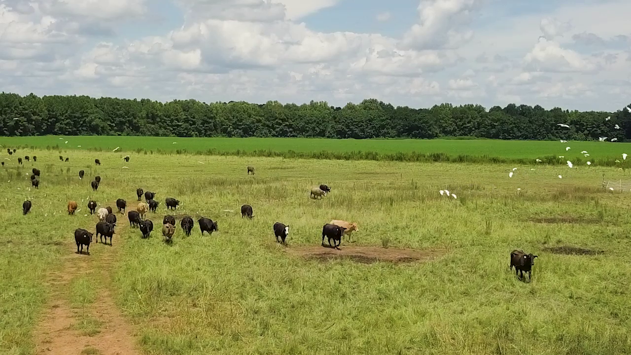 5 ON YOUR SIDE: Regenerative agriculture — Brooklyn Park Health news