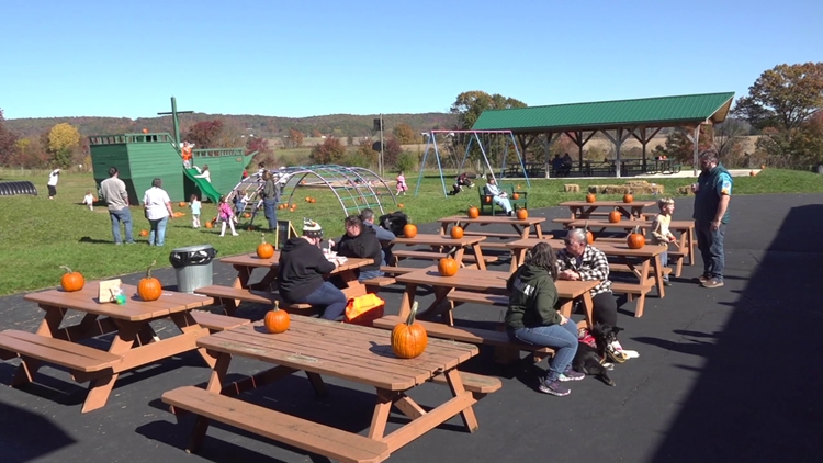 Outdoor festival in Columbia County brings together artists and businesses to connect with the community — WNEP 16 (Scranton/Wilkes-Barre), Brooklyn Park Arts news