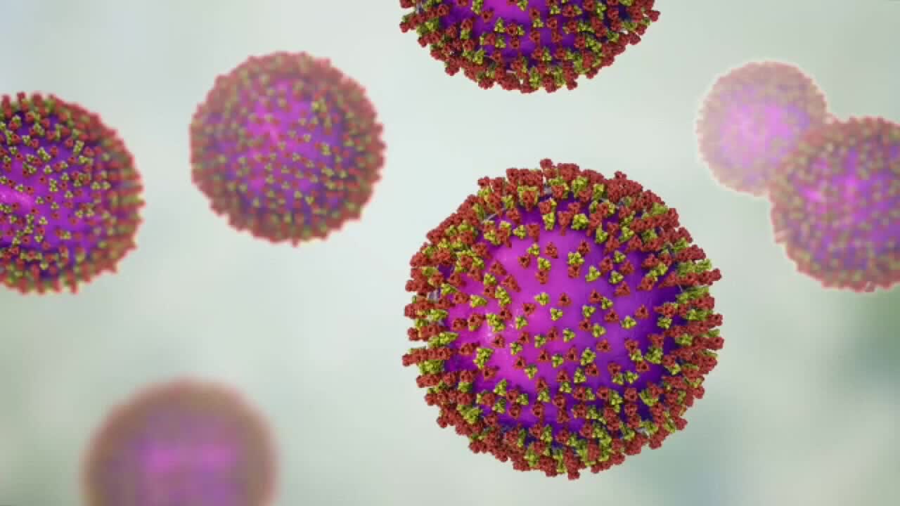 Wisconsin measles outbreak rises to 267 cases as spread continues — FOX 9, Brooklyn Park Health news