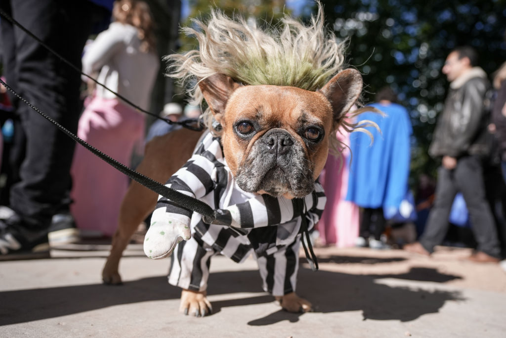 Things to do in Minnesota: 5 things to do this weekend (Oct. 23-25) — FOX 9