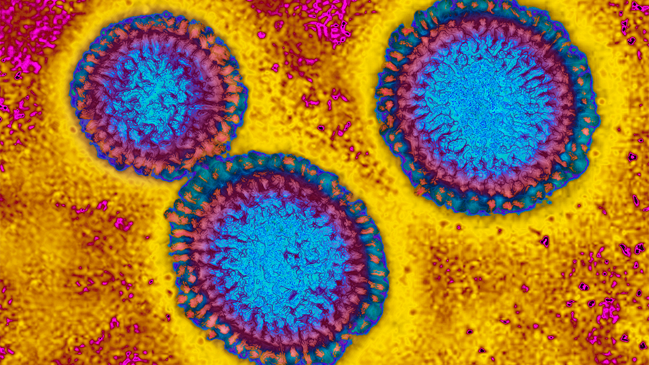 Flu hospitalizations 'slightly higher' than usual, officials urge vaccinations — FOX 9, Brooklyn Park Health news