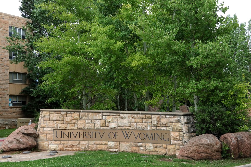 Student accused of poisoning colleague’s tea arrested at airport while allegedly trying to flee country — FOX 9, Brooklyn Park Schools news