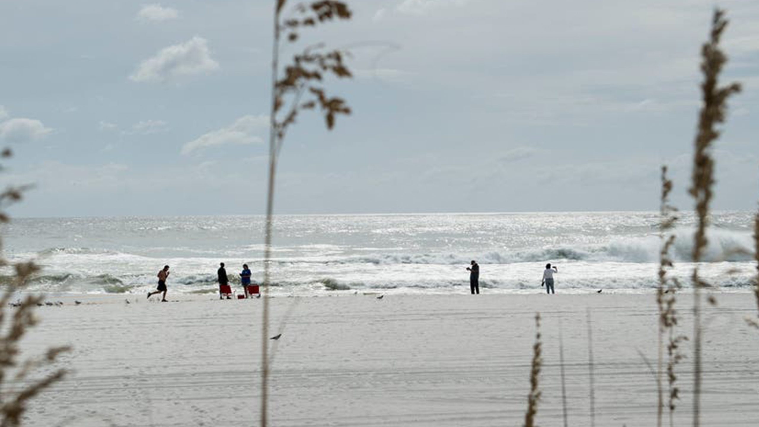 Father of 2 drowns after being caught in current trying to rescue seagull caught in fishing line — Brooklyn Park Community news