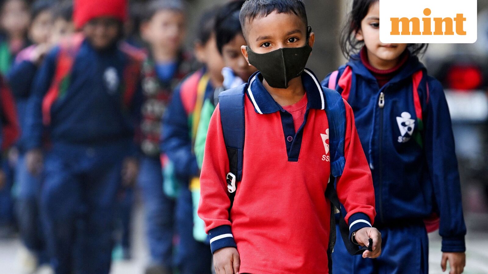 Chennai school holiday, Oct 21: Schools shut in four Tamil Nadu districts as heavy rains predicted | Check IMD alert — Mint India, Brooklyn Park Schools news